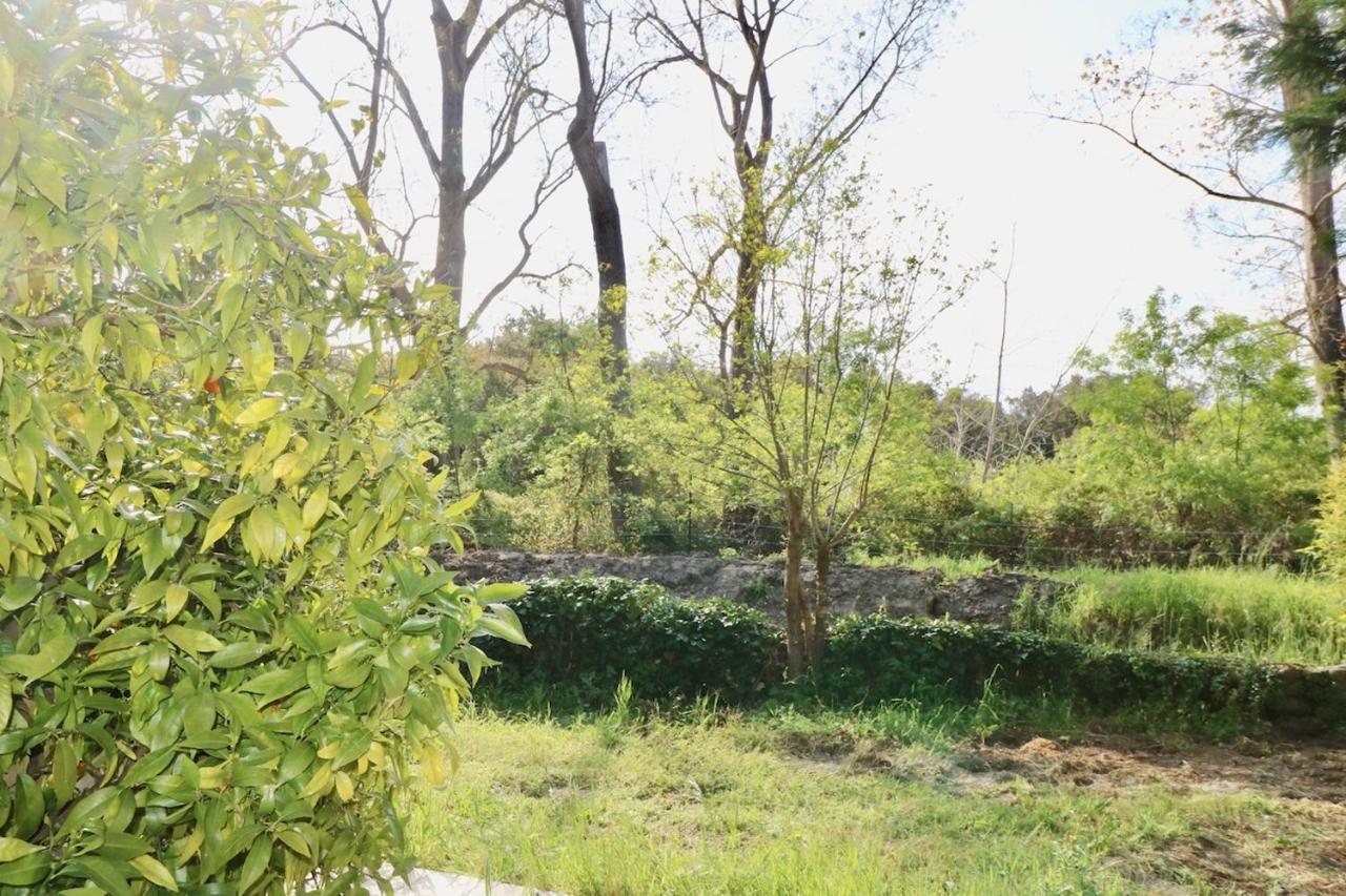 Gites Terra Di A Bravona Linguizzetta المظهر الخارجي الصورة